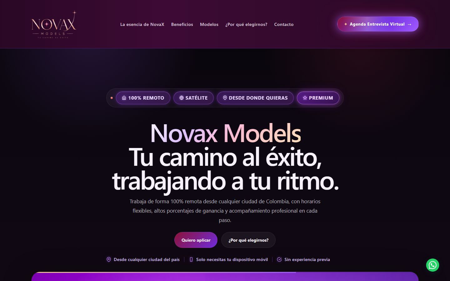 Sitio web de NovaX Models por Acuareloo